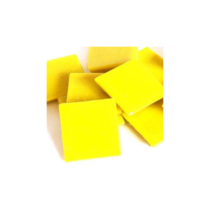 Mimosa pâte de verre