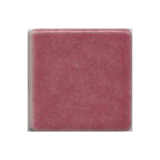 Fuschia