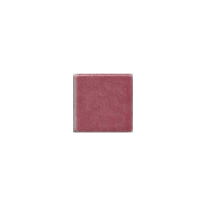 Fuschia