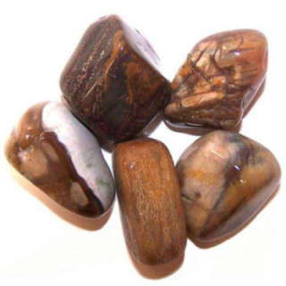 Bois pétrifié  -40%