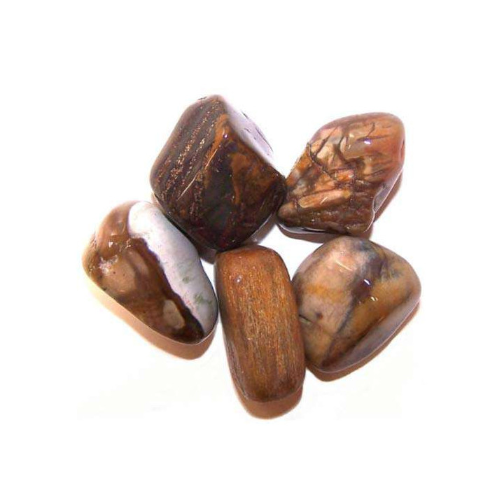 Bois pétrifié  -40%