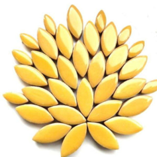 Ellipse Poivre jaune