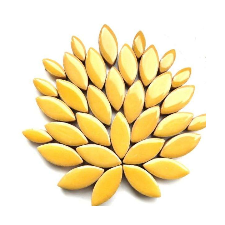 Ellipse Poivre jaune
