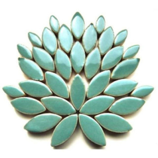 nouvelle couleur: ellipse vert-bleu