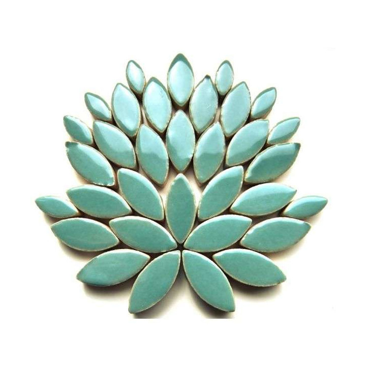 nouvelle couleur: ellipse vert-bleu