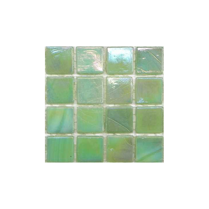 Asparagus opaline -20